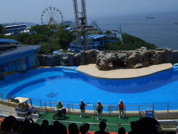 Ocean Park Wonderful View 